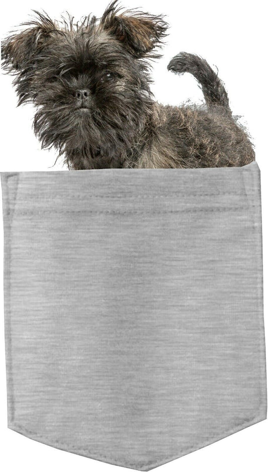Affenpinscher Dog in pocket Fridge Car Magnet Bumper Sticker App size 4"x7"