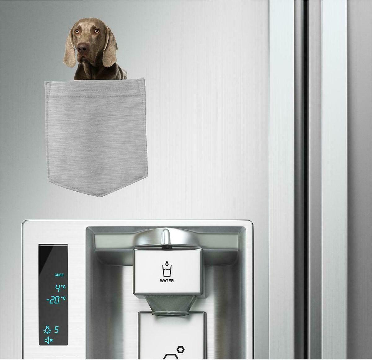 Weimaraner Dog in pocket Fridge Car Magnet Bumper Sticker App size 4"x7"