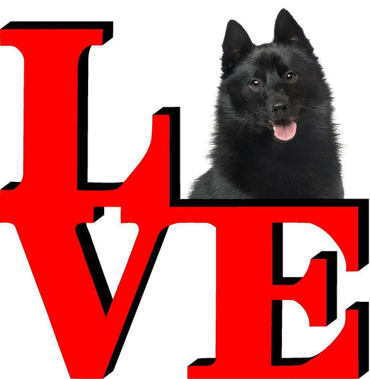 Schipperkes Cute Dog Fridge Refrigerator Car Magnet