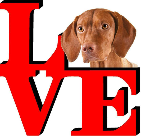 Visla Cute Dog Fridge Refrigerator Car Magnet