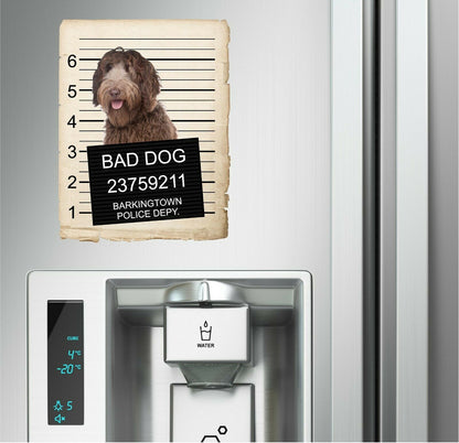 Labradoodle Mugshot Bad Dog Fridge refrigerator Car Magnet