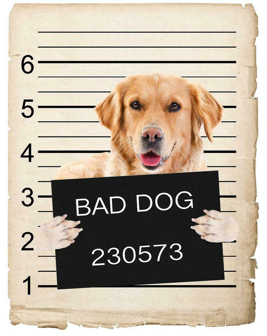 Golden Retriever Mugshot Bad Dog Fridge refrigerator Car Magnet
