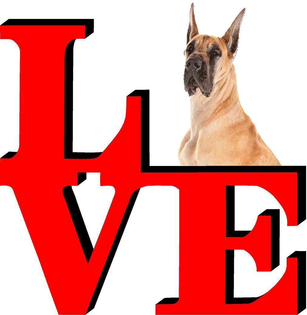 Great Dane Dog Love Park Dog Fridge Refrigerator Car Magnet