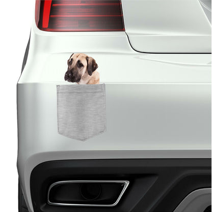 Anatolian Shepard in pocket Fridge Car Magnet Bumper Sticker App size 4"x7"