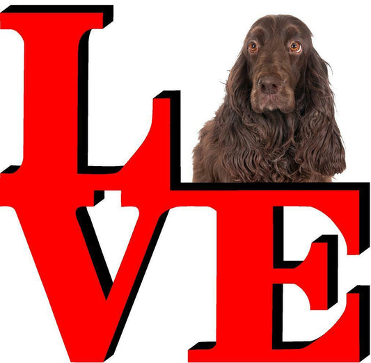 Field Spaniel Dog Love Park Dog Fridge Refrigerator Car Magnet
