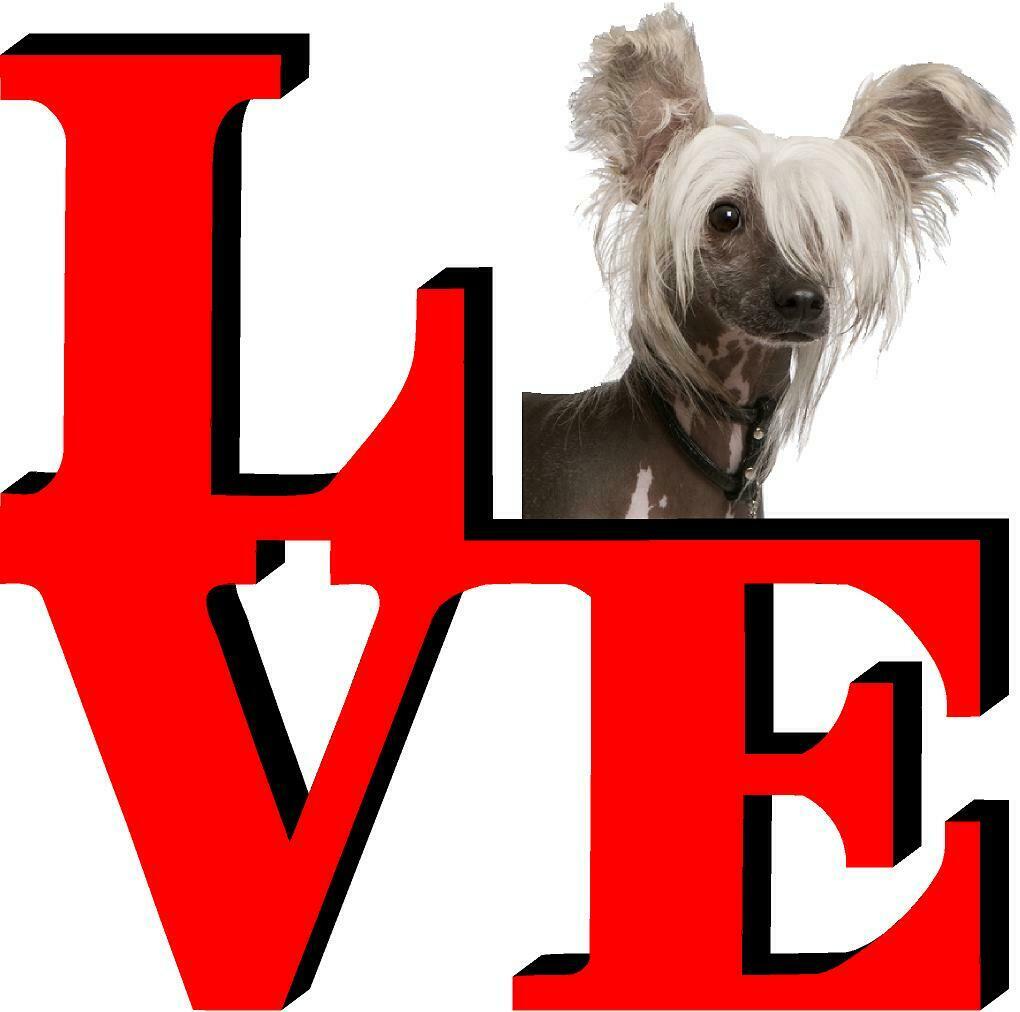 Chinese Crested Dog Love Park Dog Fridge Refrigerator Car Magnet