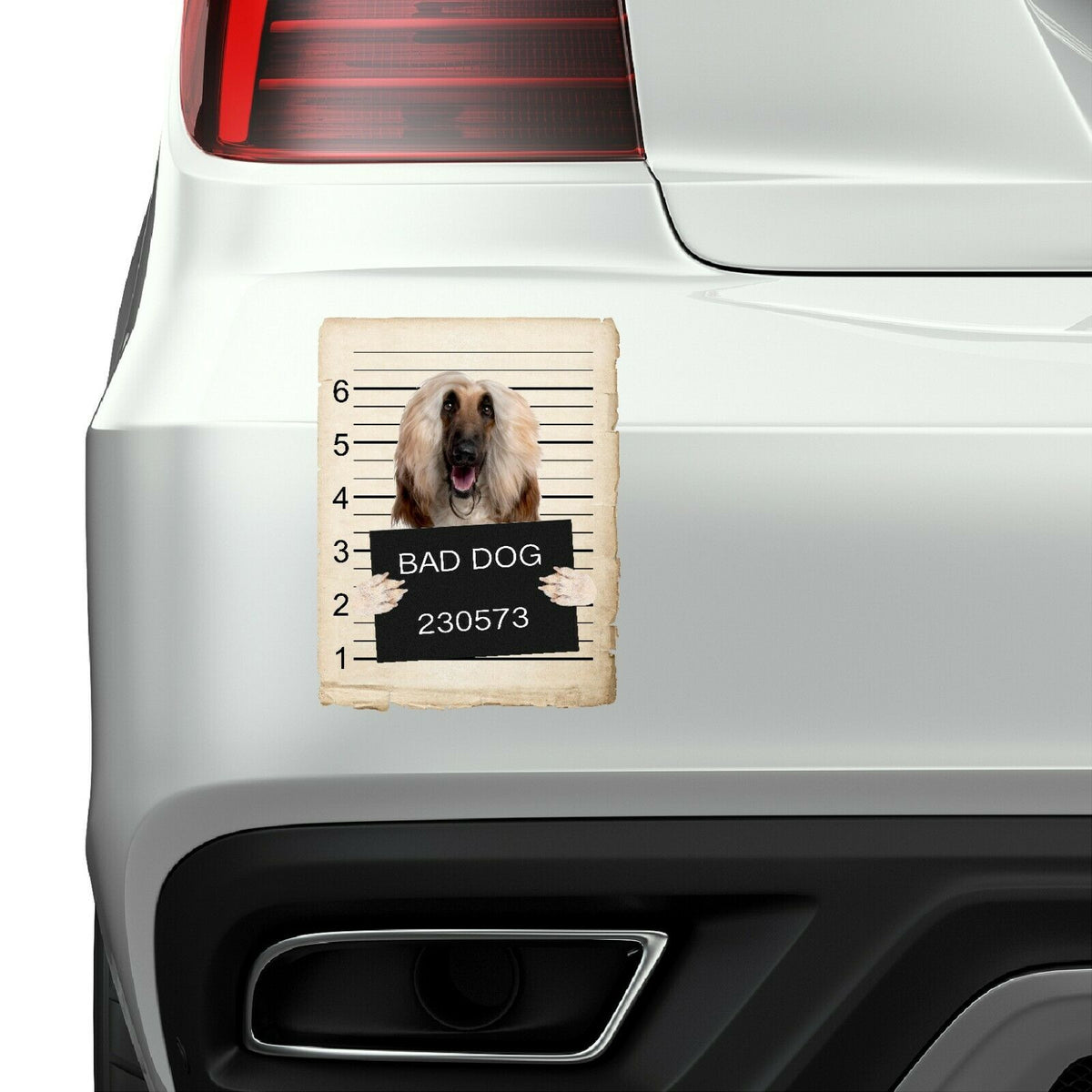 Afghan Hound Mugshot Bad Dog Fridge refrigerator Car Magnet Bumper Sticker