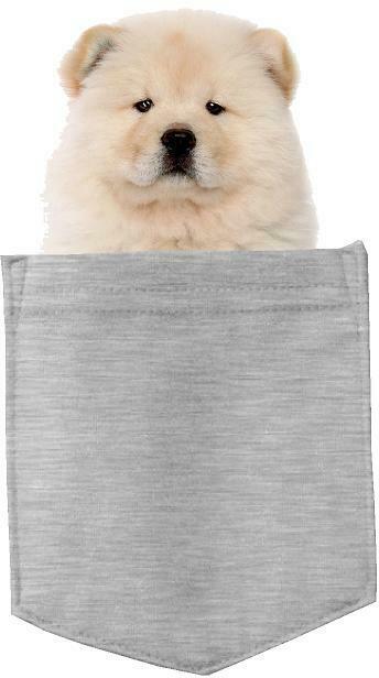 Chow Chow Dog in pocket Fridge Car Magnet Bumper Sticker App size 4"x7"