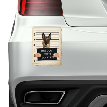 Belgian Malinoi Mugshot Bad Dog Fridge refrigerator Car Magnet