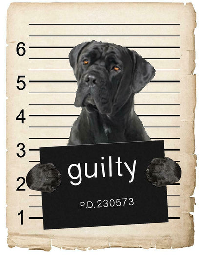 Cane Corso Mugshot Bad Dog Fridge refrigerator Car Magnet