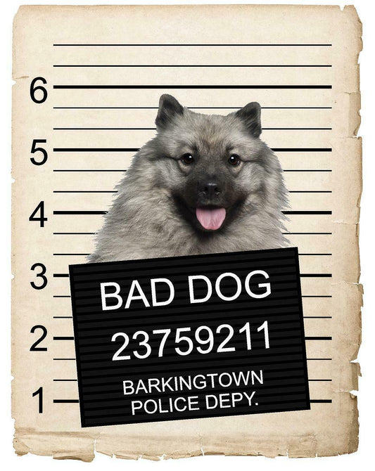 Keeshonden  Mugshot Bad Dog Fridge refrigerator Car Magnet