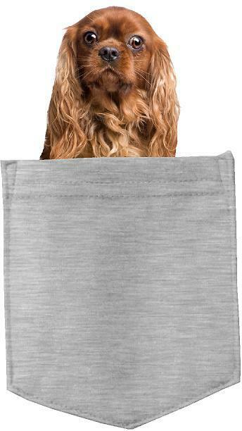 Cavalier King Charles in pocket Fridge Car Magnet Bumper Sticker App size 4"x7"