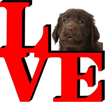Flat Coated Retriever Dog Love Park Dog Fridge Refrigerator Car Magnet