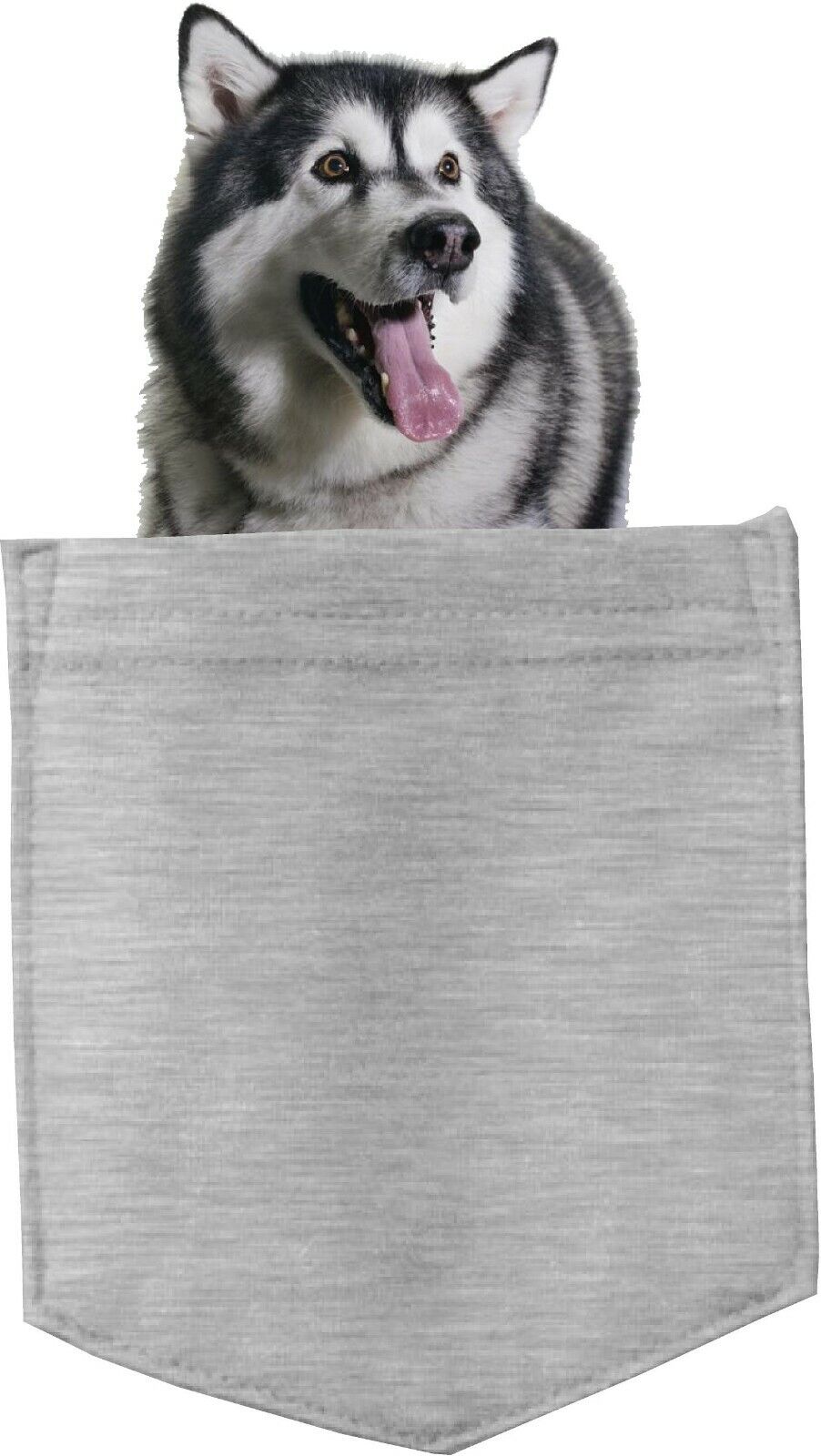 Alaskan Malamute Dog in pocket Fridge Car Magnet Bumper Sticker App size 4"x7"