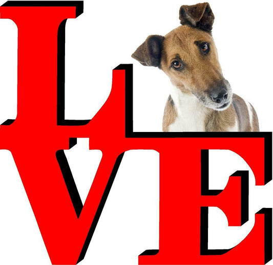 Fox Terrier Dog Love Park Dog Fridge Refrigerator Car Magnet