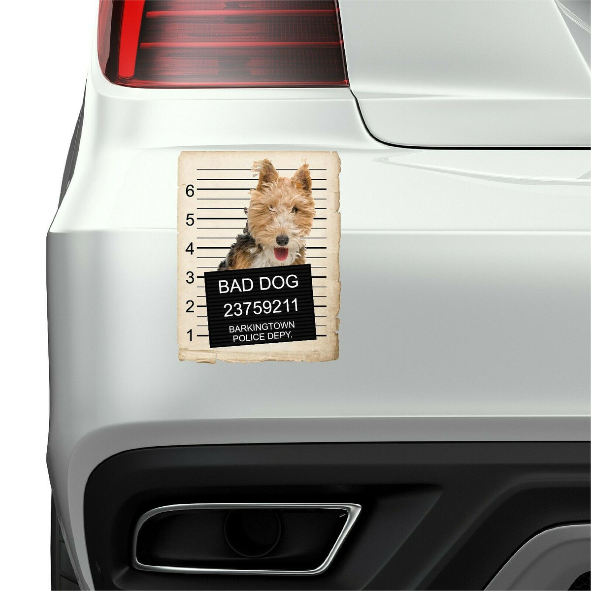 Fox Terrier Mugshot Bad Dog Fridge refrigerator Car Magnet