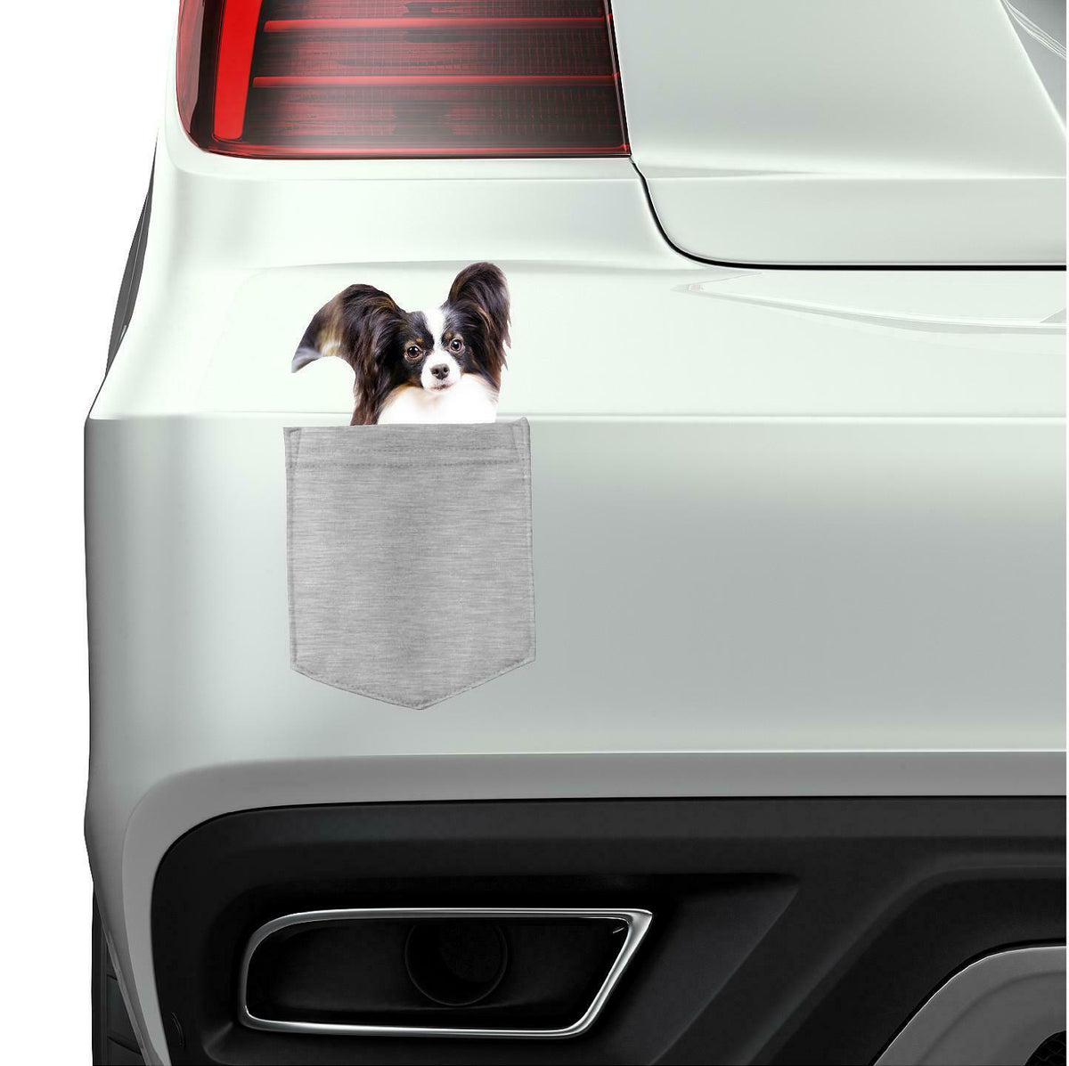 Papillons Dog  in  pocket Fridge Car Magnet Bumper Sticker App size 4"x7"