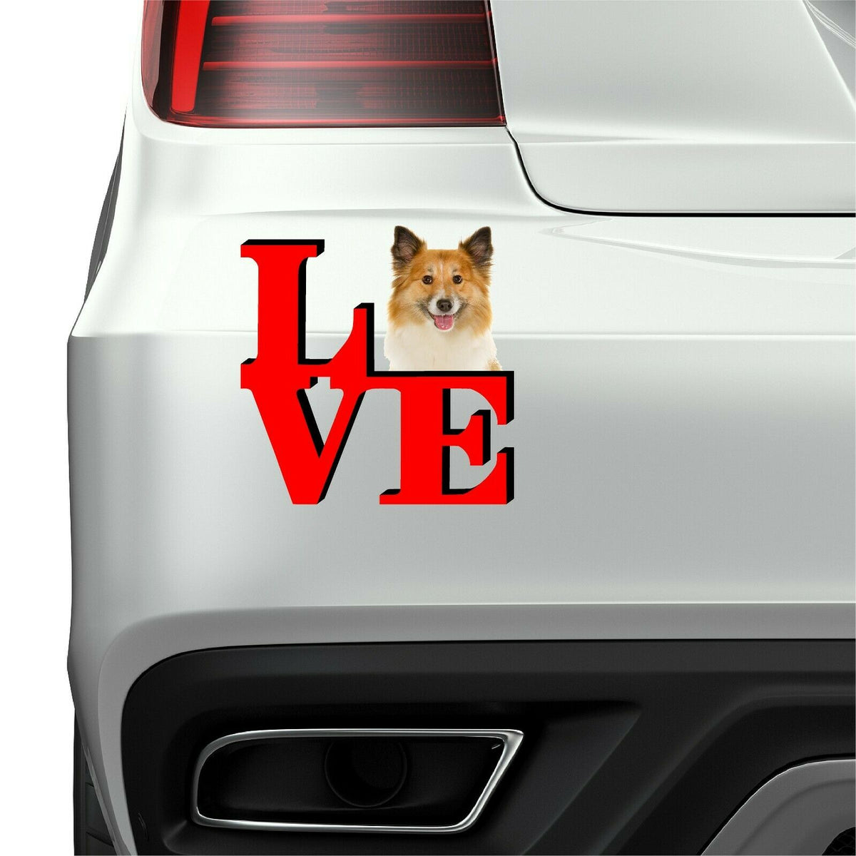 Icelandic Sheepdog Dog Love Park Dog Fridge Refrigerator Car Magnet