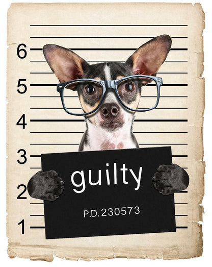 Chihuahua with Glasses Mugshot Bad Dog Fridge refrigerator Car Magnet