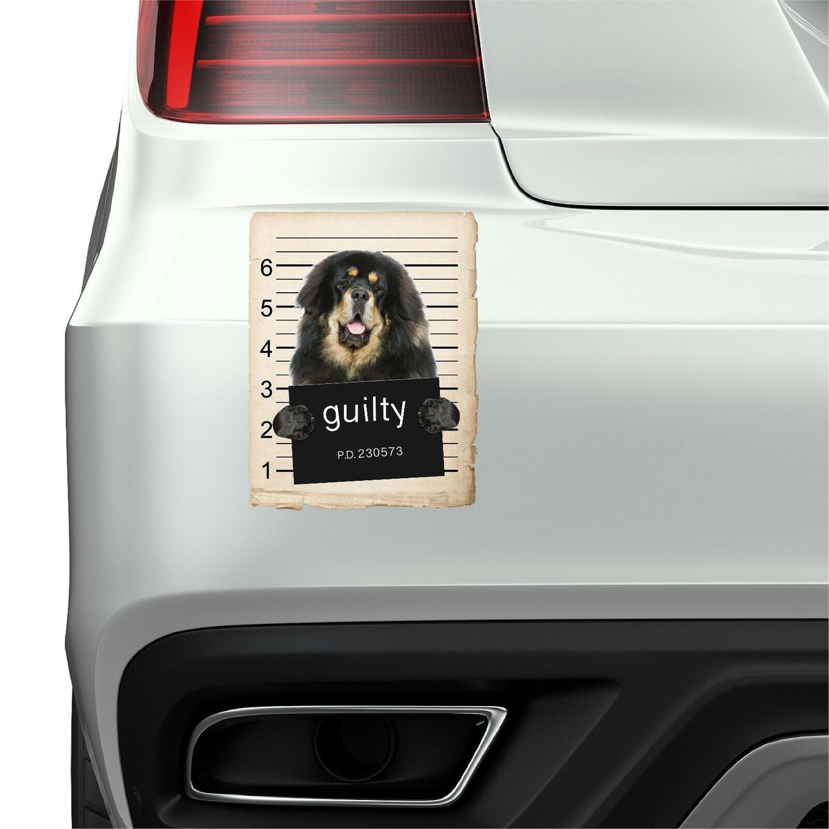 Tibetan Mastiff Mugshot Bad Dog Fridge refrigerator Car Magnet