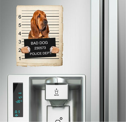 Bloodhound Mugshot Bad Dog Fridge refrigerator Car Magnet
