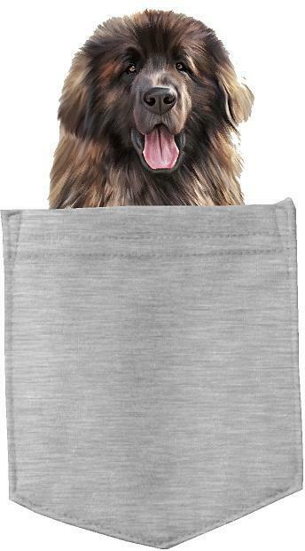 Leonberger Dog in pocket Fridge Car Magnet Bumper Sticker App size 4"x7"