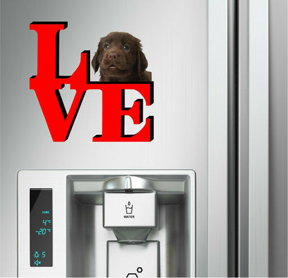 Flat Coated Retriever Dog Love Park Dog Fridge Refrigerator Car Magnet
