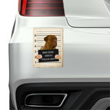 Dogues De Bordeaux Mugshot Bad Dog Fridge refrigerator Car Magnet