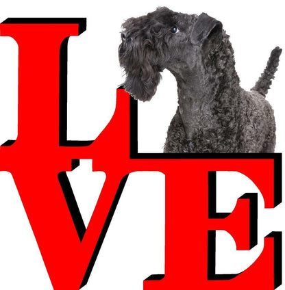 Kerry Blue Terrier Dog Love Park Dog Fridge Refrigerator Car Magnet
