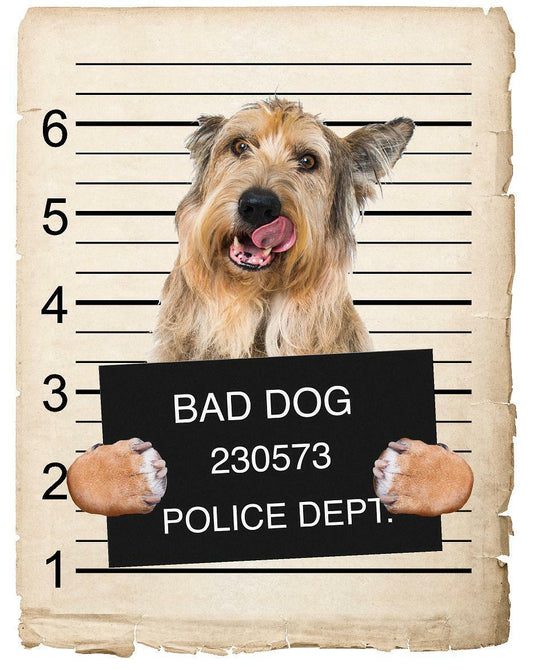 Berger Picard Mugshot Bad Dog Fridge refrigerator Car Magnet