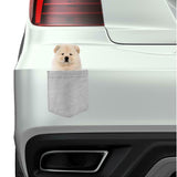 Chow Chow Dog in pocket Fridge Car Magnet Bumper Sticker App size 4"x7"