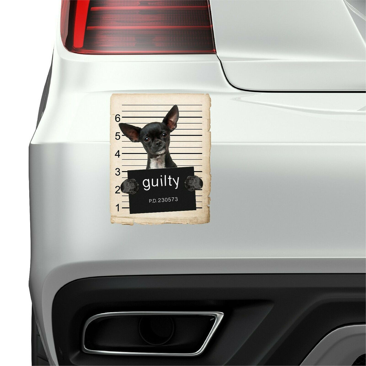 Chihuahua Mugshot Bad Dog Fridge refrigerator Car Magnet