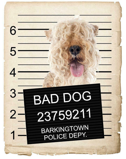 Lakeland Terrier Mugshot Bad Dog Fridge refrigerator Car Magnet