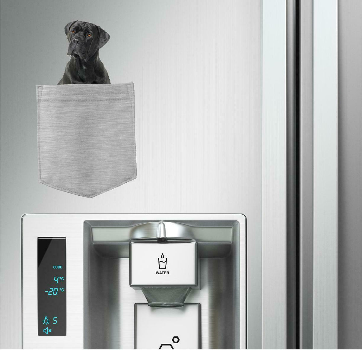 Cane Corso Dog in pocket Fridge Car Magnet Bumper Sticker App size 4"x7"