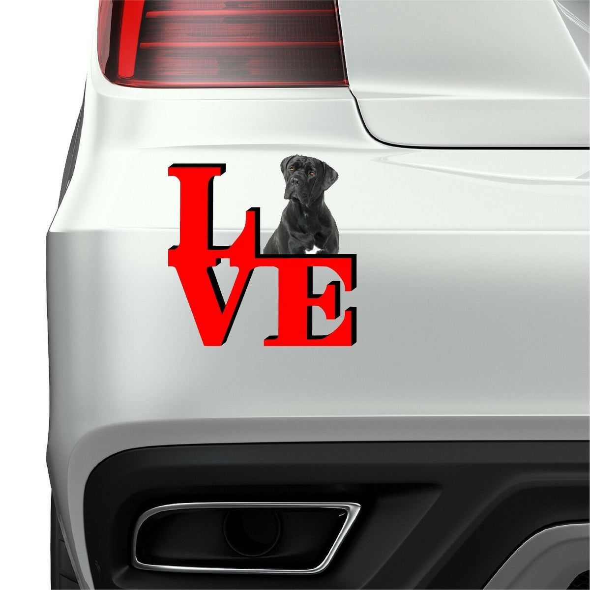 Cane Corso Dog Love Park Cute Dog Fridge Refrigerator Car Magnet