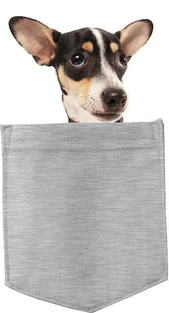 Rat Terrier Dog in pocket Fridge Car Magnet Bumper Sticker App size 4"x7"