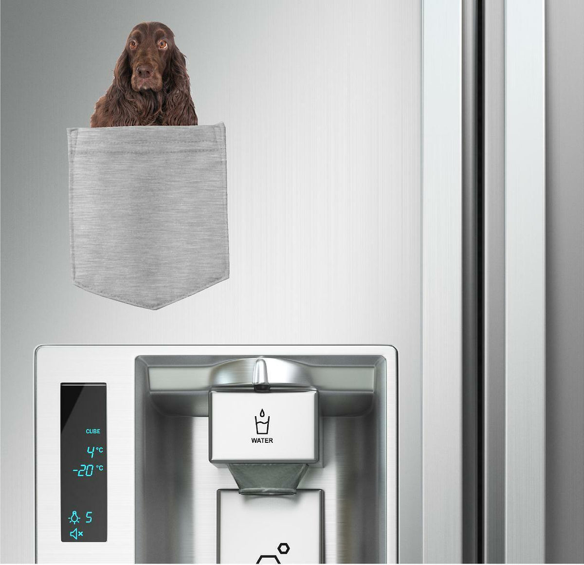Field Spaniel Dog in pocket Fridge Car Magnet Bumper Sticker App size 4"x7"