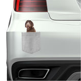 Labradoodle Dog in pocket Fridge Car Magnet Bumper Sticker App size 4"x7"