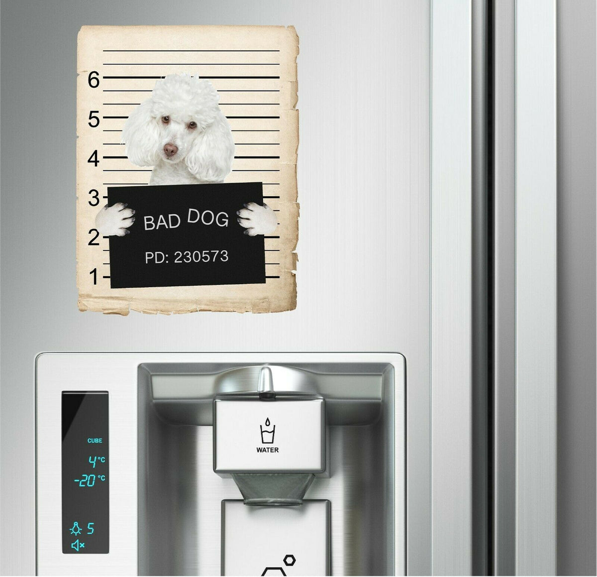 Poodle Mugshot Bad Dog Fridge refrigerator Car Magnet