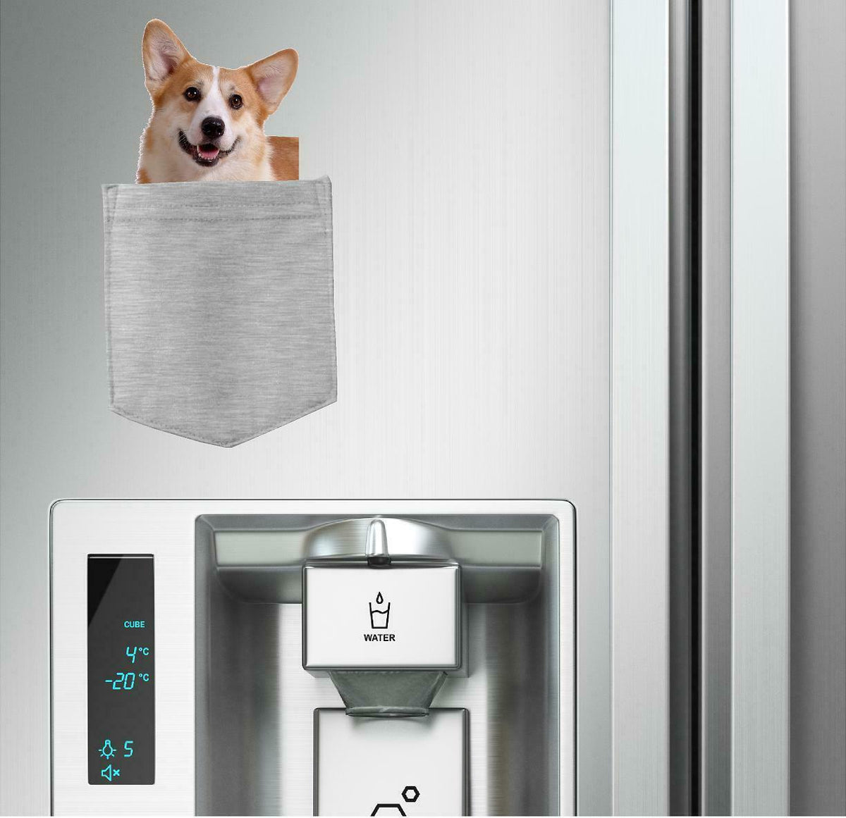 Pembroke Welsh Corgi in  pocket Fridge Car Magnet Bumper Sticker App size 4"x7"