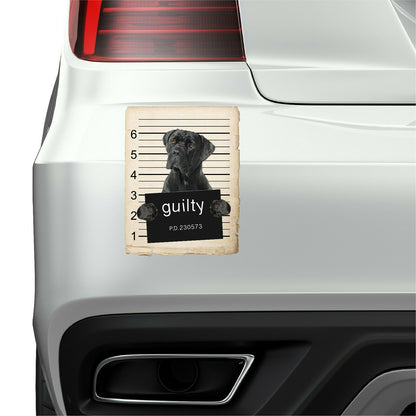 Cane Corso Mugshot Bad Dog Fridge refrigerator Car Magnet