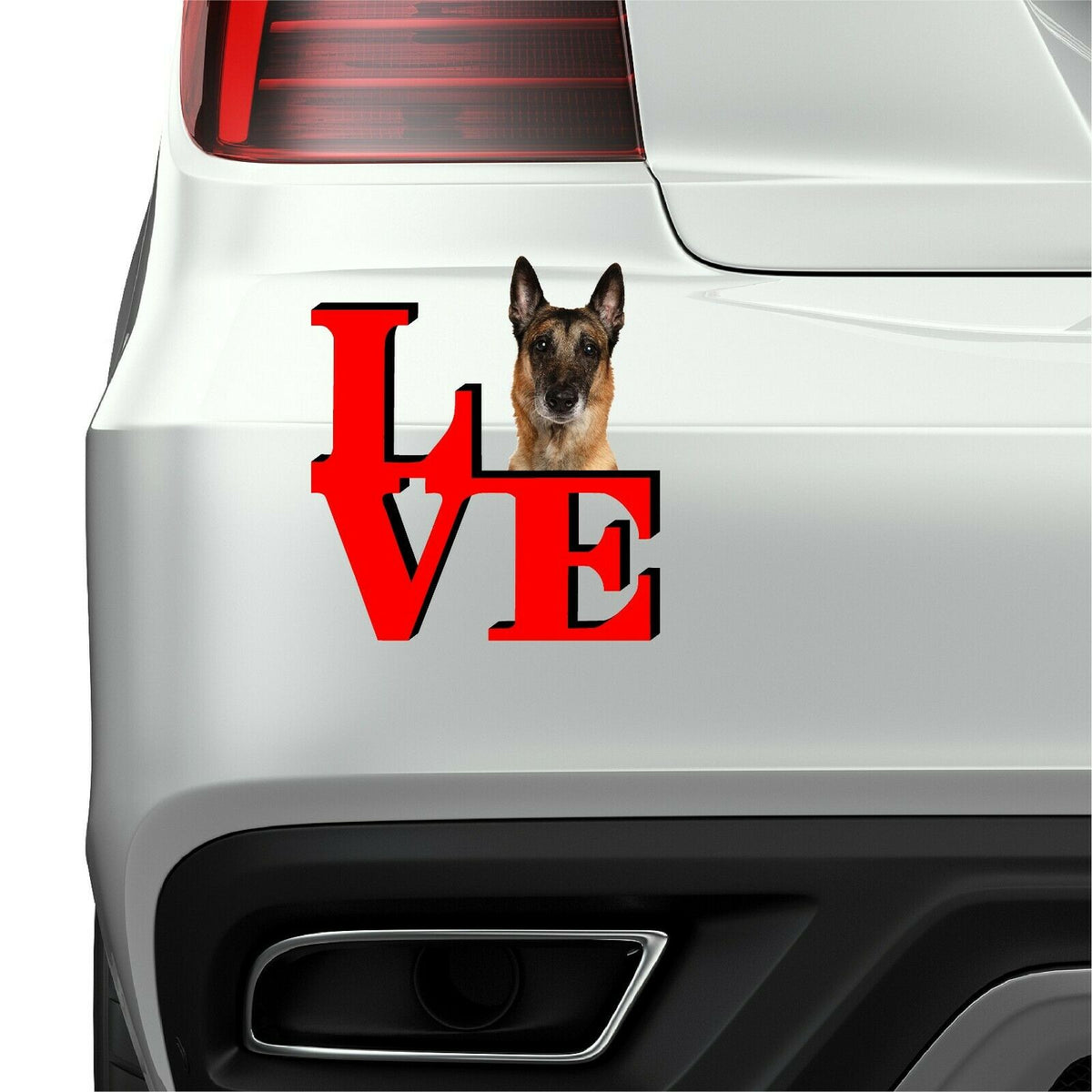 Belgian Malinoi Love Park Cute Dog Fridge Refrigerator Car Magnet