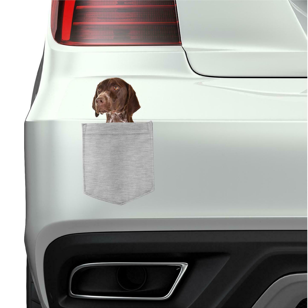German Shorthair Pointer Dog in pocket Fridge Car Magnet Bumper Sticker