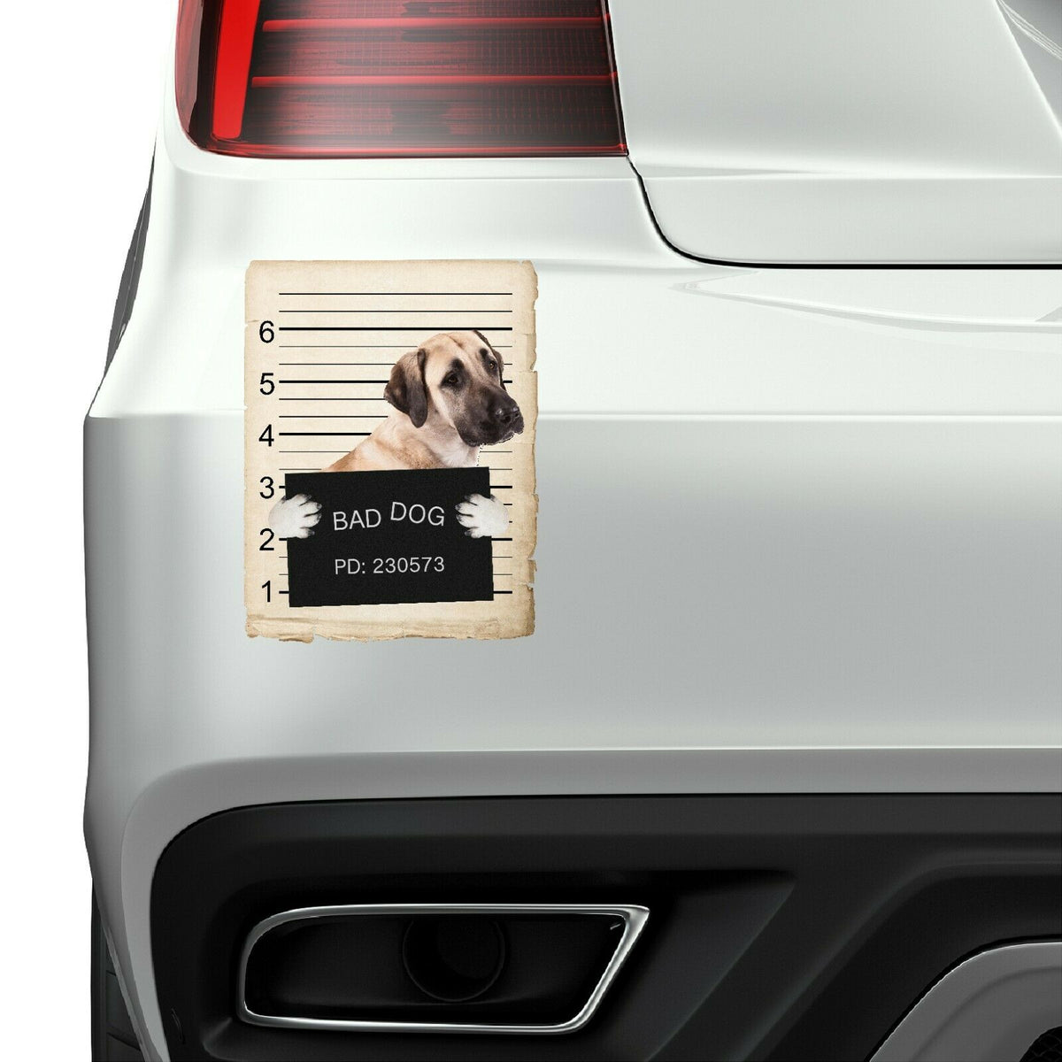 Anatolian Shepard Mugshot Bad Dog Fridge refrigerator Car Magnet