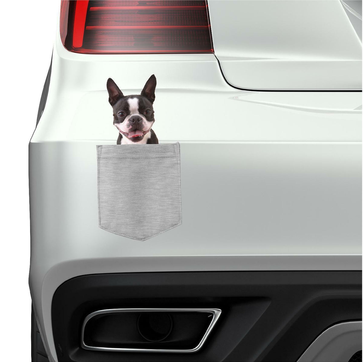Boston Terrier Dog in pocket Fridge Car Magnet Bumper Sticker App size 4"x7"