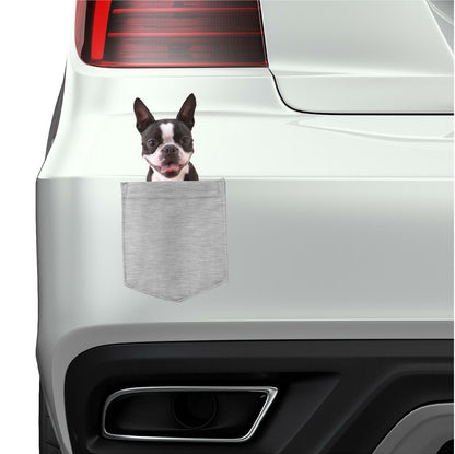 Boston Terrier Dog in pocket Fridge Car Magnet Bumper Sticker App size 4"x7"
