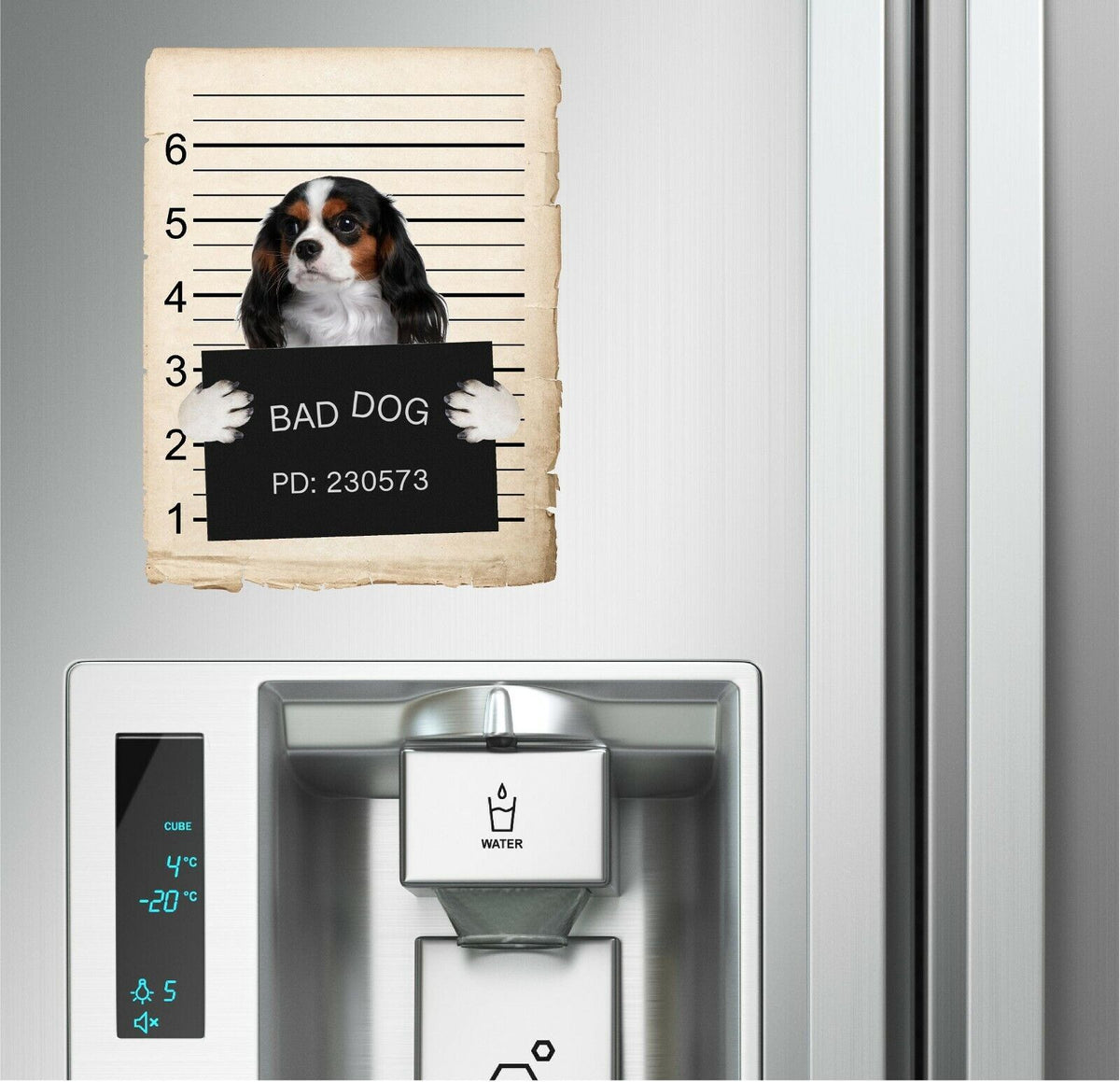 Cavalier King Charles Spaniel Mugshot Bad Dog Fridge refrigerator Car Magnet
