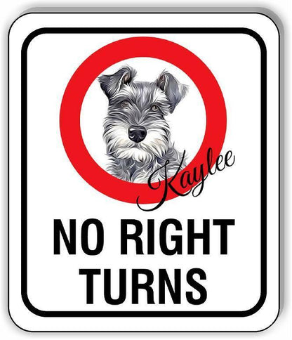 Kaylee No Right Turns Aluminum
