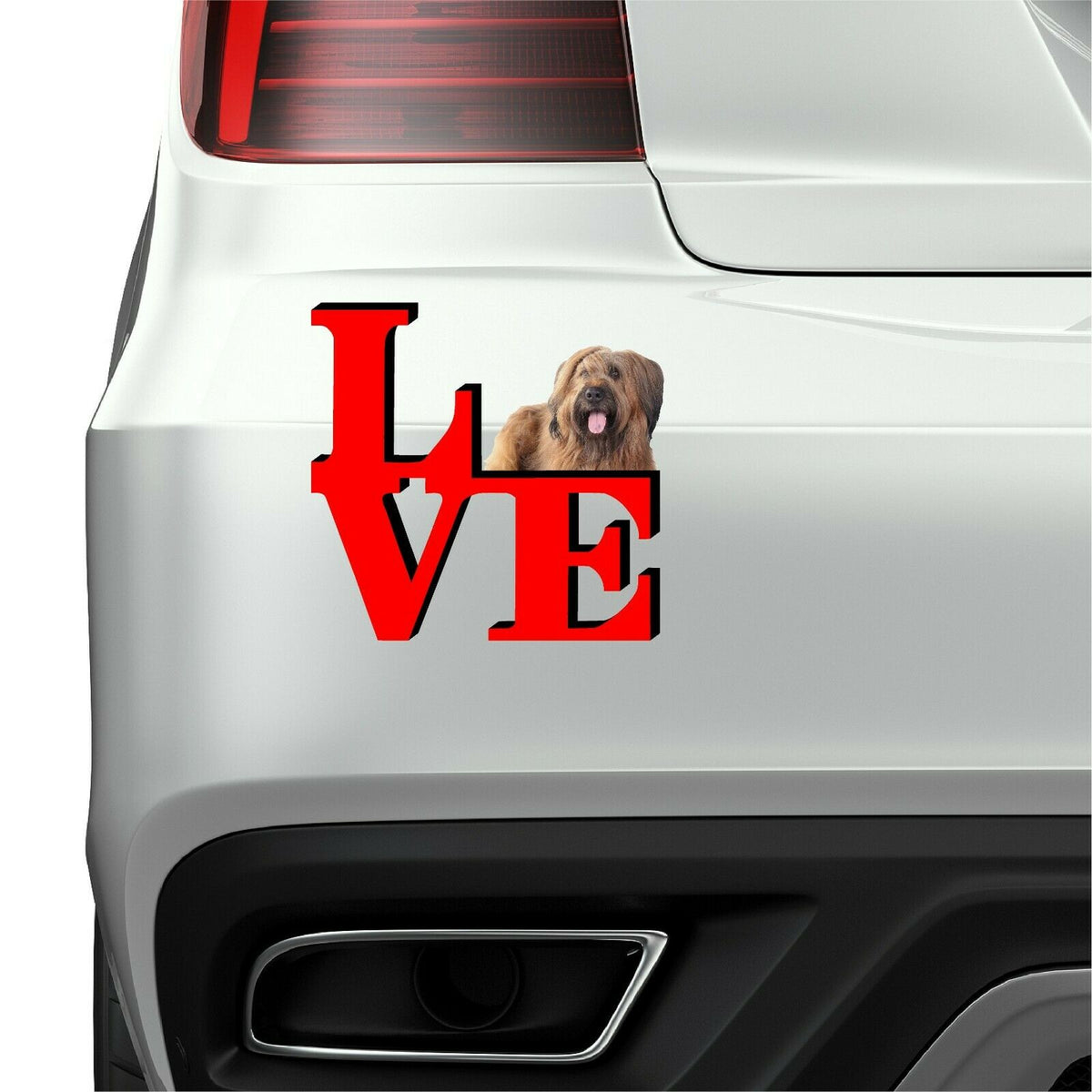 Briard Dog Love Park Cute Dog Fridge Refrigerator Car Magnet