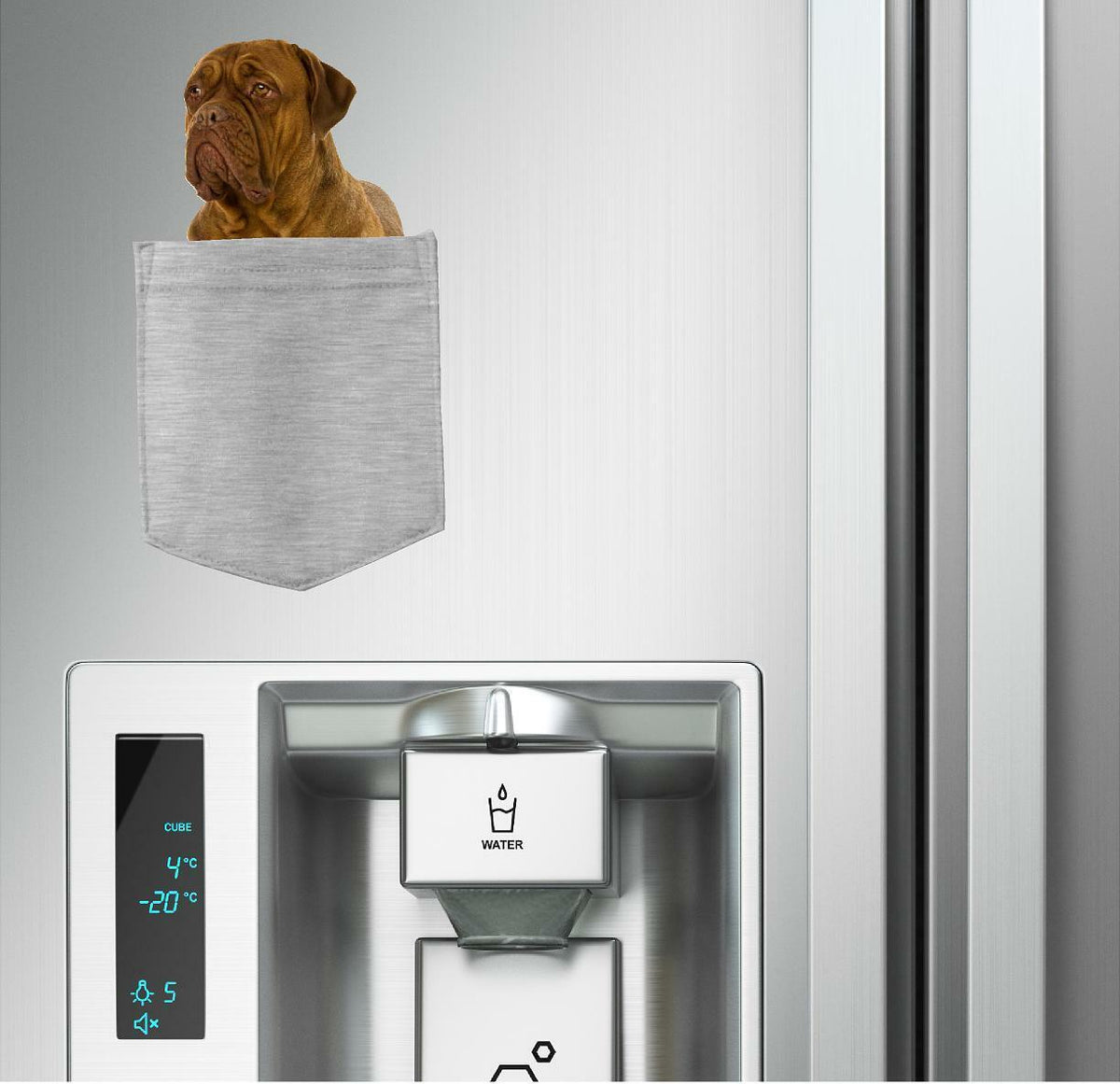 Dogues De Bordeaux Dog in pocket Fridge Car Magnet Bumper Sticker App size 4"x7"